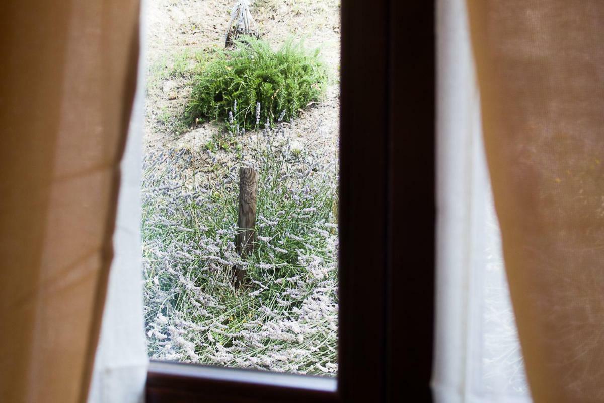 Agriturismo La Ca Veja Monforte dʼAlba Exteriér fotografie