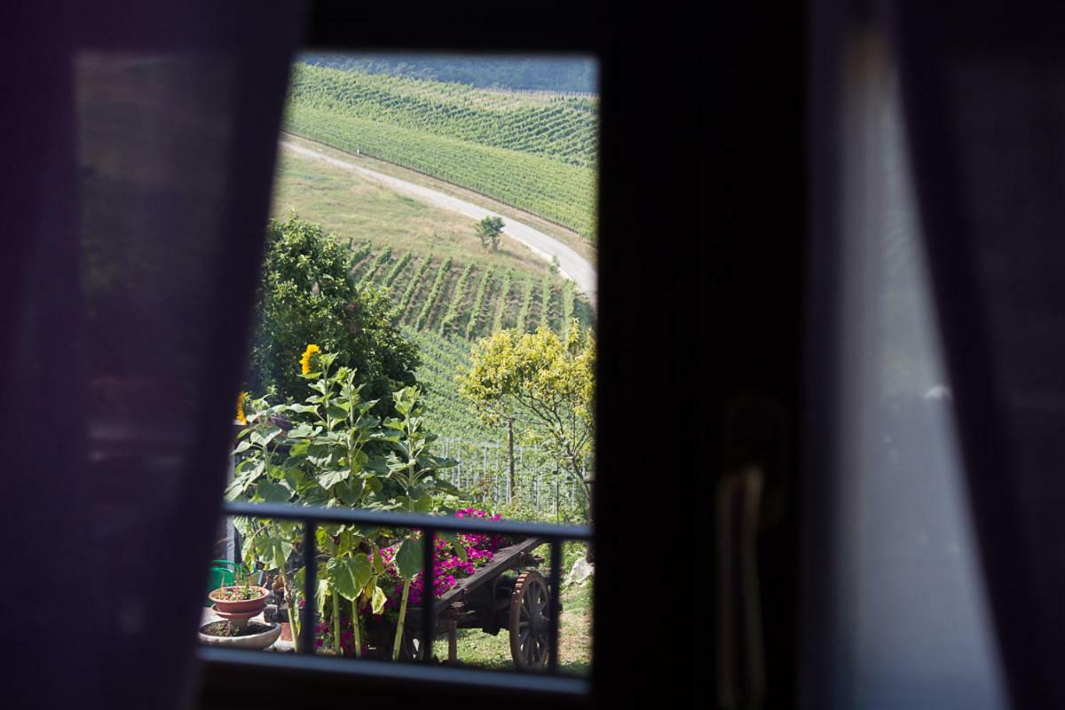 Agriturismo La Ca Veja Monforte dʼAlba Exteriér fotografie
